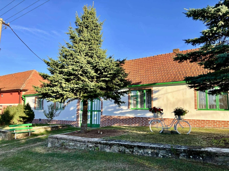 Image 10