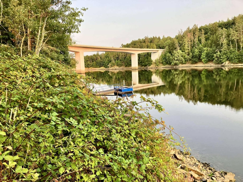 Image 6