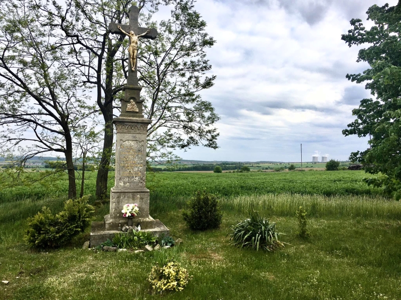 Image 6