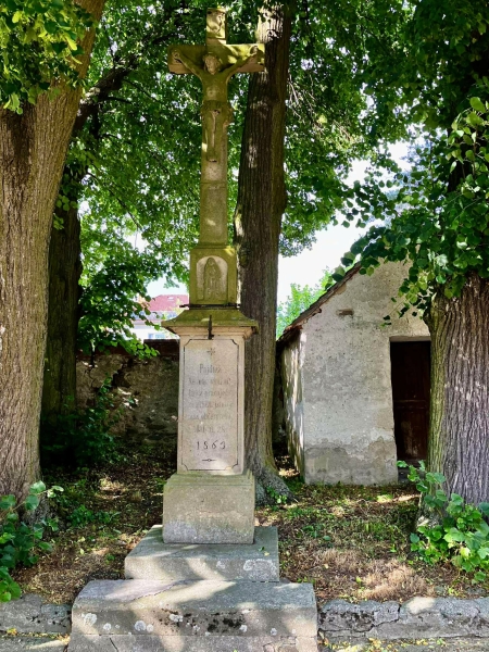 Image 7