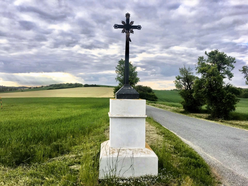 Image 7