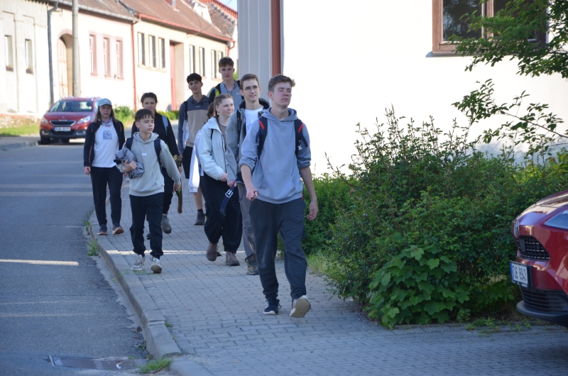Image 19