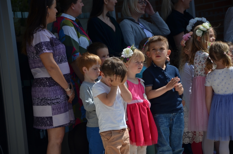 Image 75