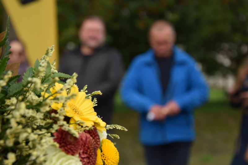 Image 16