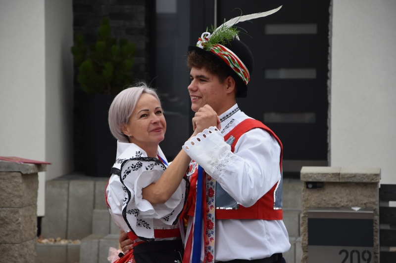 Image 11