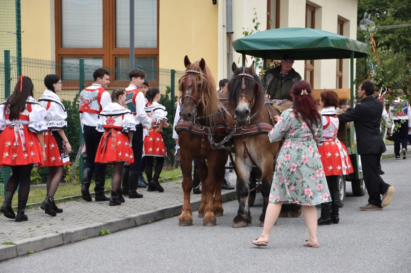 Image 25