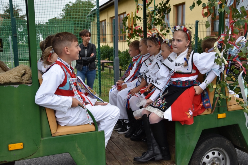 Image 28