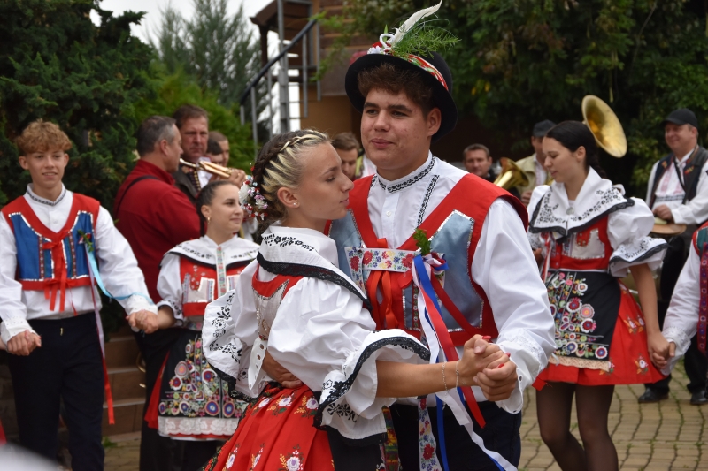 Image 35