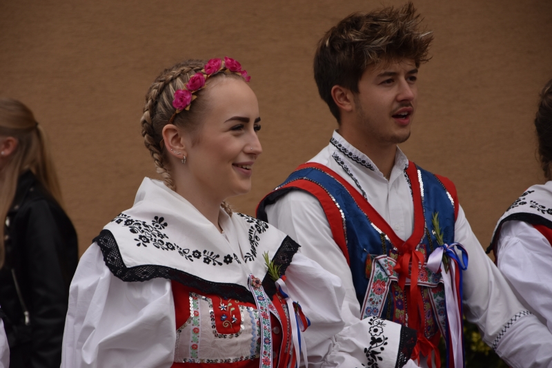 Image 37