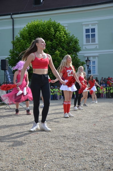 Image 20