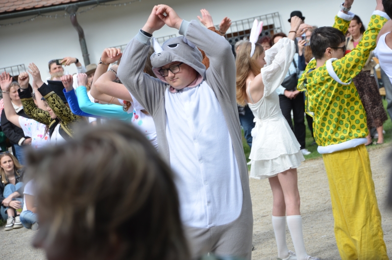 Image 28