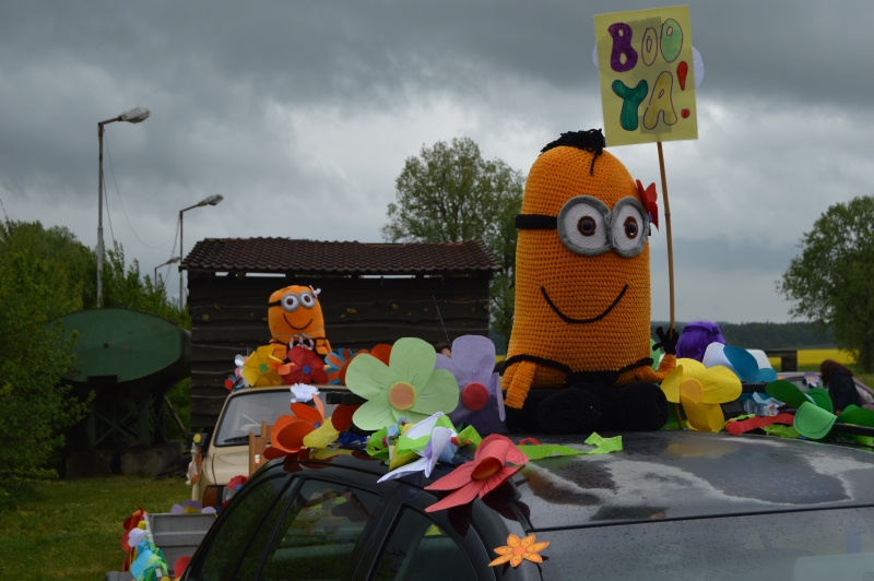 Image 12