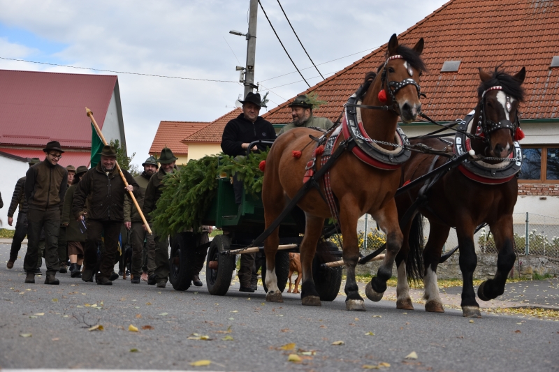 Image 14