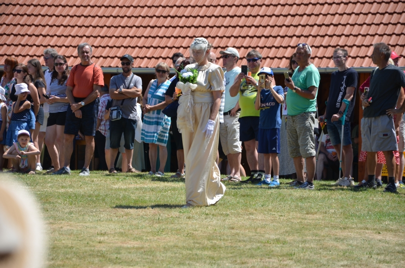 Image 29
