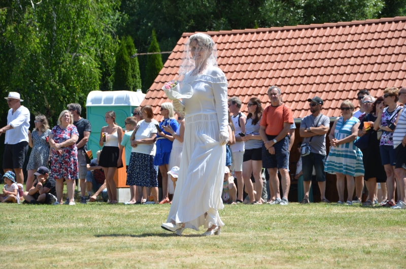 Image 31