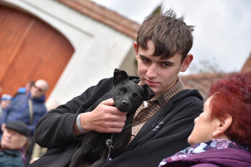 Image 25