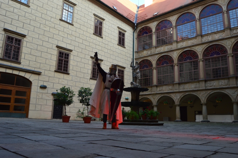Image 13