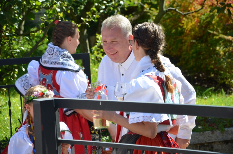 Image 31