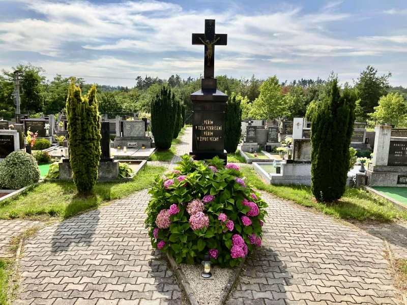 Image 11