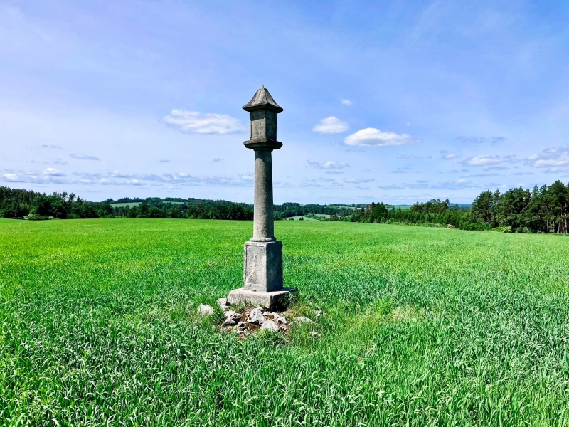 Image 8