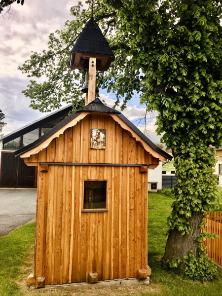 Image 13