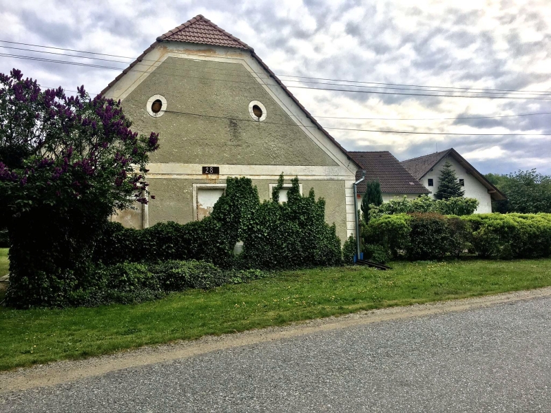 Image 8
