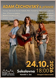 Koncert¨