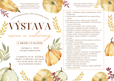 Výstava