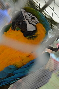 Thumbnail 17