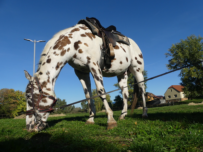 Fotografie 5