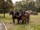 Přeloženého Huberta si všichni užili
