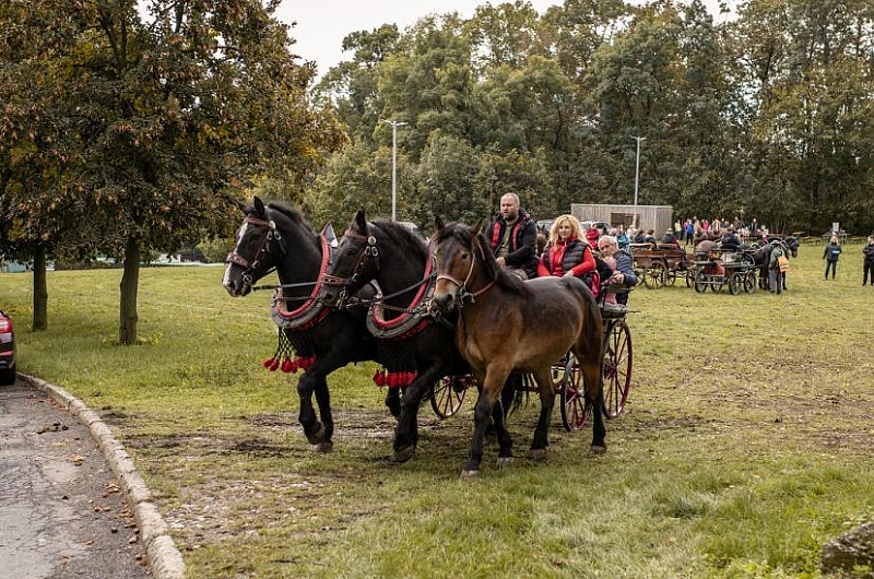 Fotografie 1
