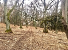 Toulky po Třebíčsku – Šebkovice