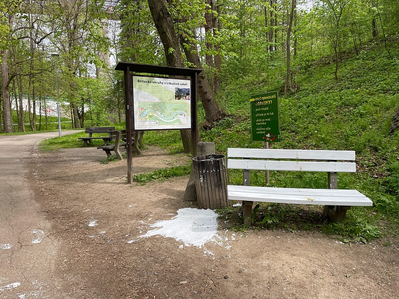 Fotografie 1