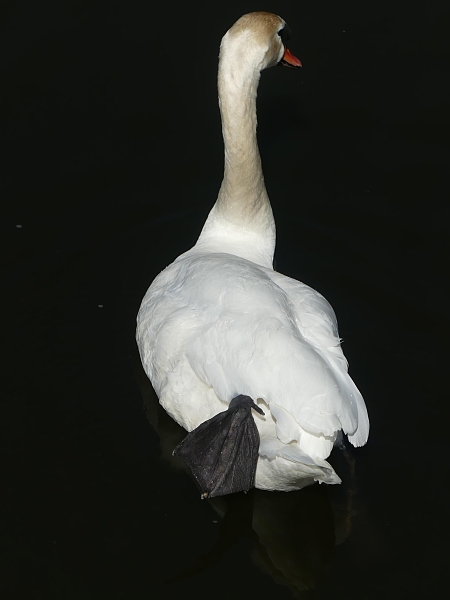 Fotografie 2