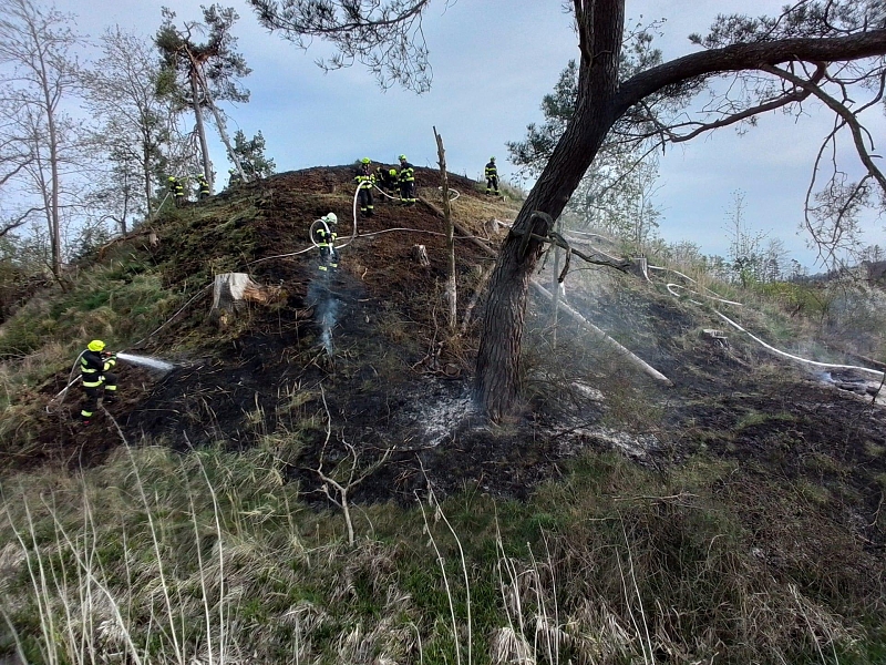Fotografie 7