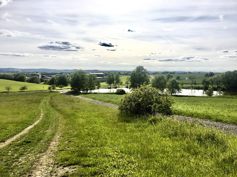 Fotografie 10