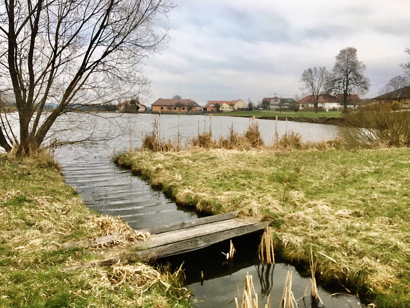 Fotografie 8