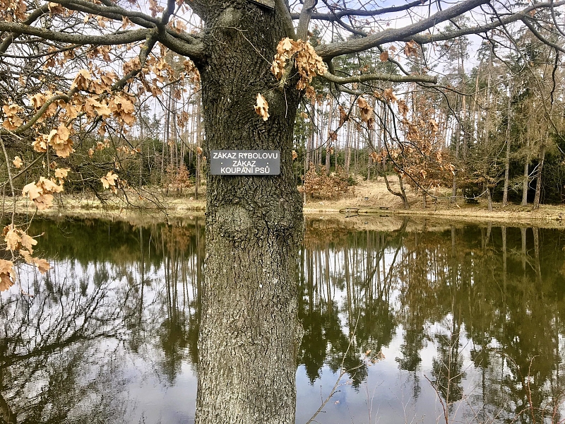 Fotografie 10