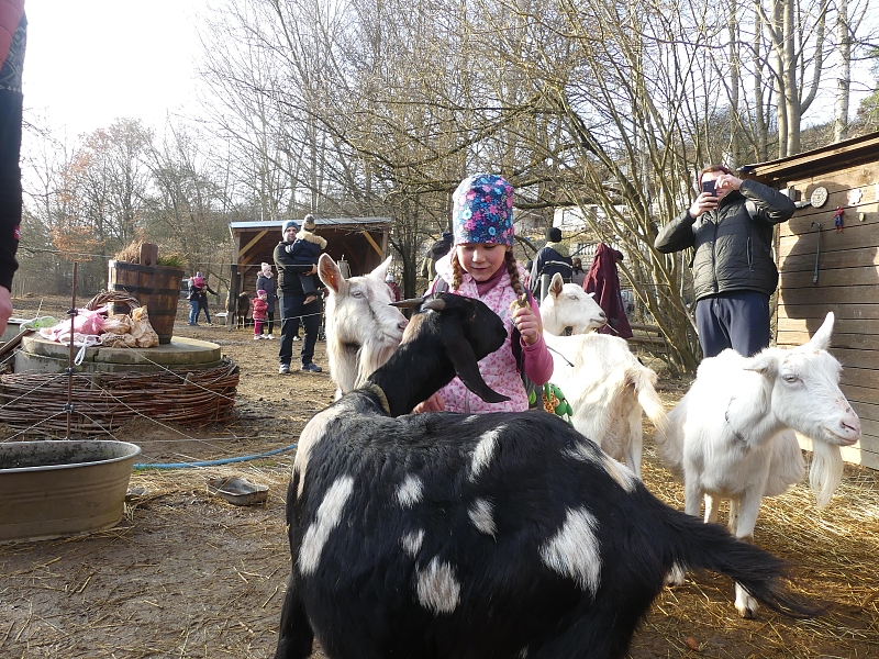 Fotografie 1