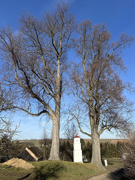 Fotografie 2