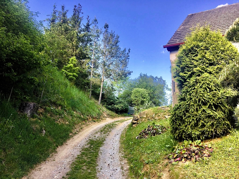 Fotografie 12
