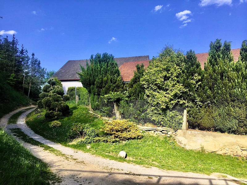 Fotografie 13