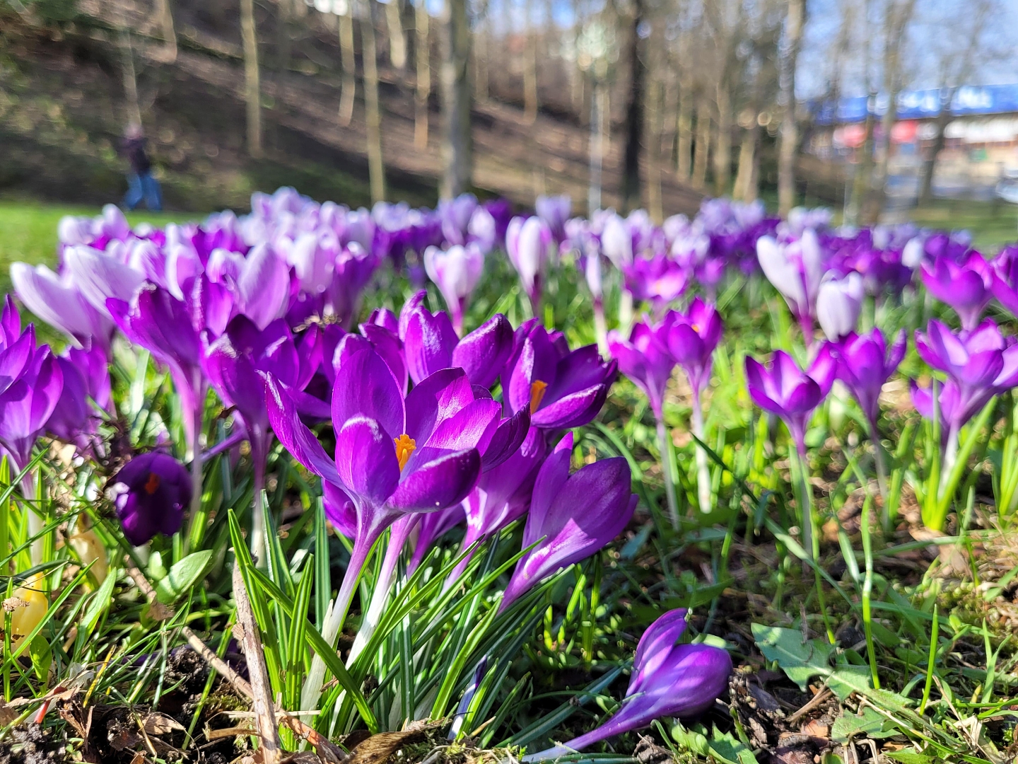 Fotografie 1