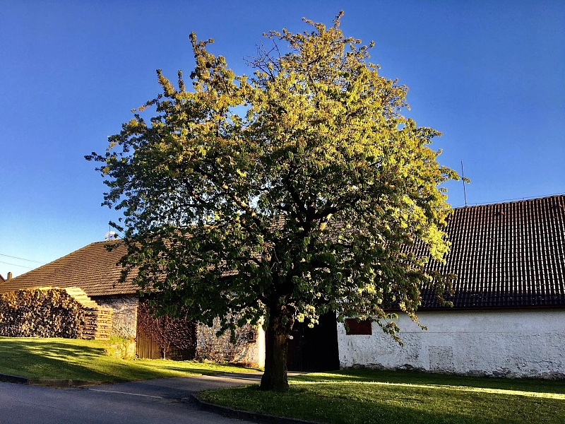 Fotografie 2