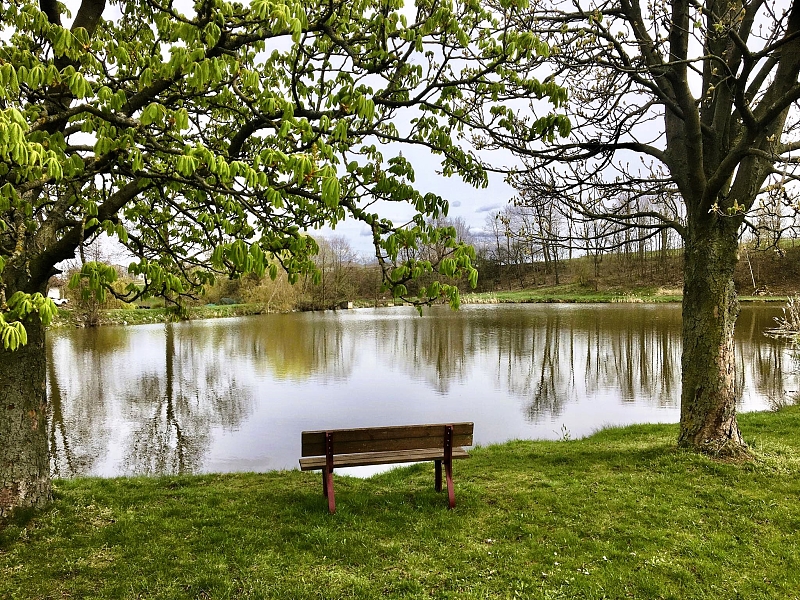 Fotografie 7