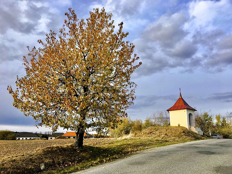 Fotografie 14