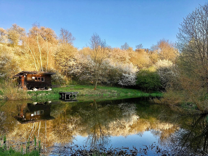 Fotografie 9