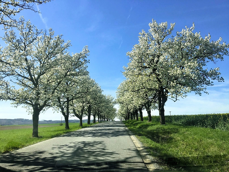 Fotografie 12