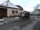 Nejkrásnější adventní projížďky jsou s percherony